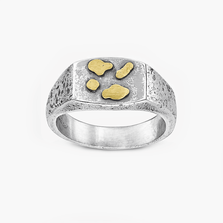 Hand-Forged Sterling Silver Ring With Gold Details-Ring-Kompsós