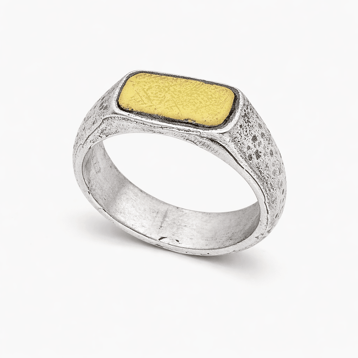 Thin Sterling Silver Ring With Gold Details-Ring-Kompsós